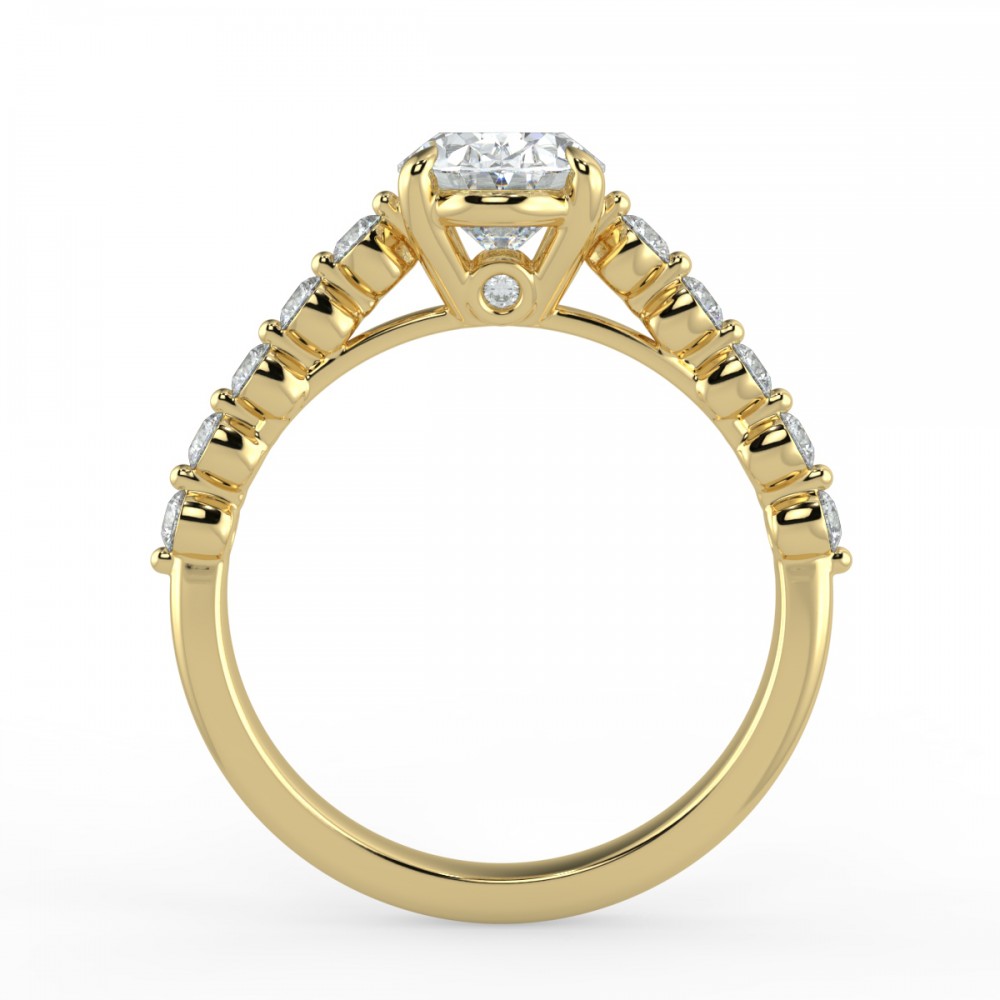 Bezel Share Pronng  Engagemnt Ring