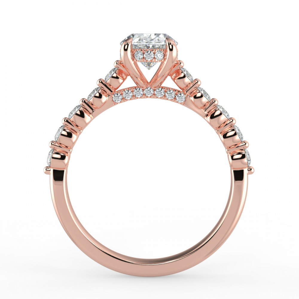 Bezel Share Pronng  Engagemnt Ring